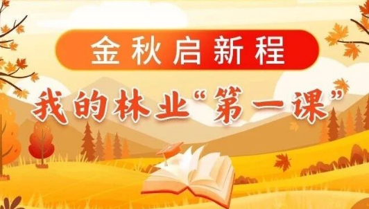 金秋启新程，我的林业“第一课”（二）