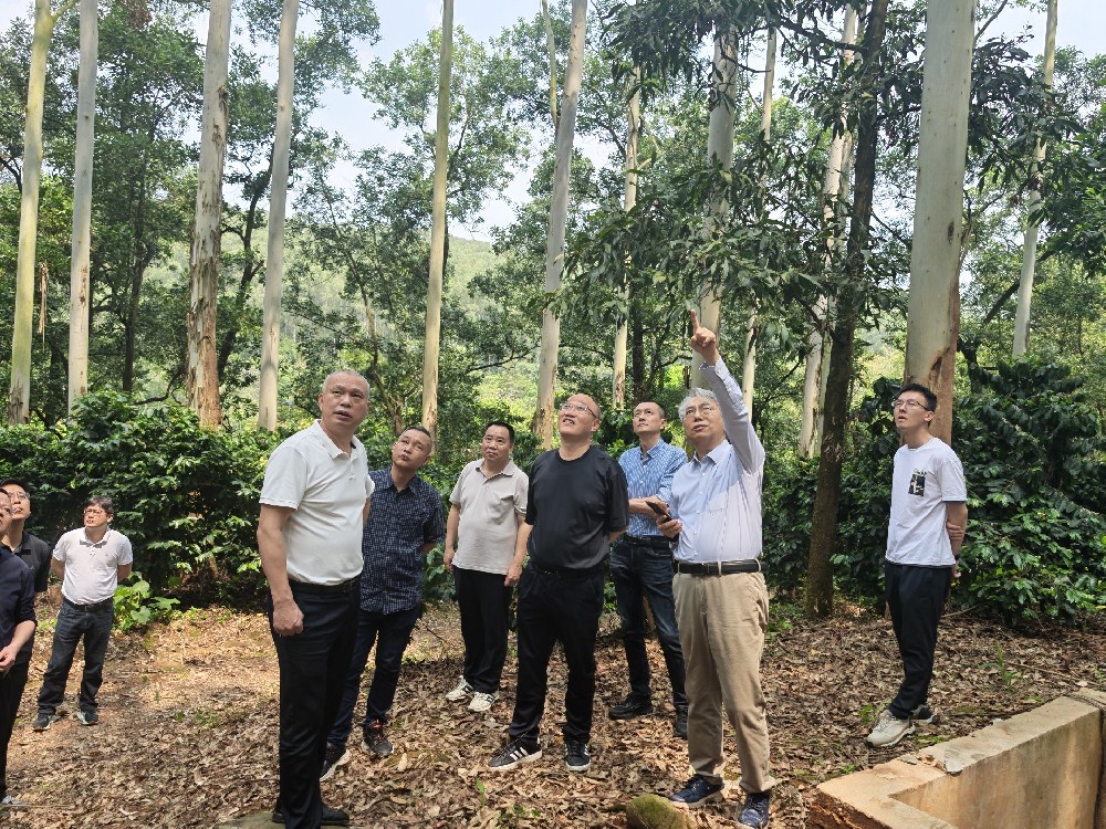陆元昌教授赴宝马bm1122线路顶级林业专题调研国家储备林建设情况